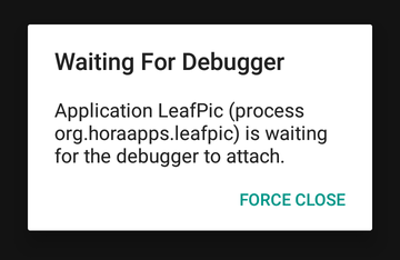 Waiting For Debugger Dialog